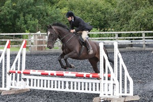 Class 6 - Fences not above 2'9